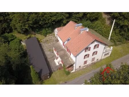 vosges du nord atypique immeuble 292 m2 12 pièces
