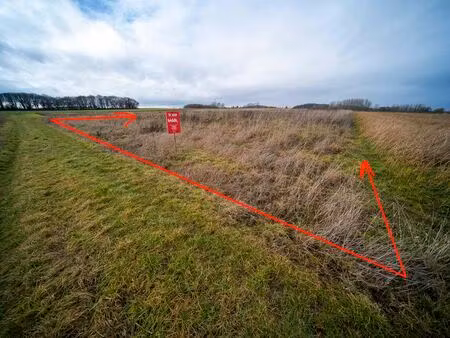 terrain à vendre à halen € 22.000 (lmr6v) - verelst & verelst | zimmo