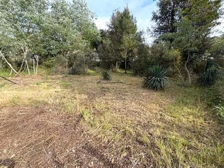 vente terrain 301 m² saint-georges-d’oléron (17190)