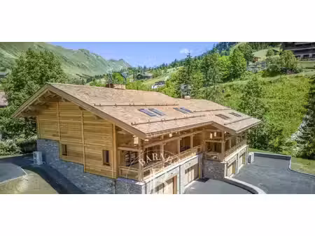 chalet le grand-bornand (74)