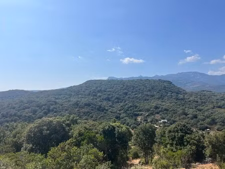 grand terrain avec belle vue dégagée à figari