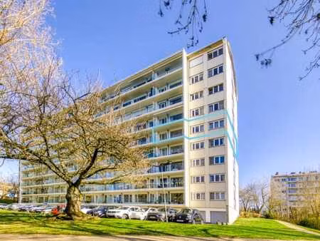 appartement 2 chambres avec cave et garage