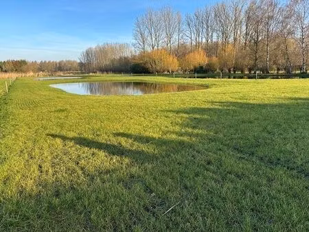 terrain à vendre à moerzeke € 230.000 (lmrvq) - immobouw bart | zimmo