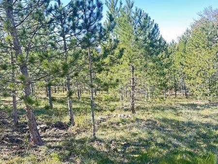 terrain constructible viabilisé à vendre