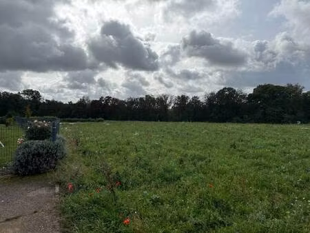 terrain constructible à vendre