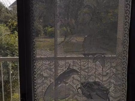 appartement à louer - logement étudiant