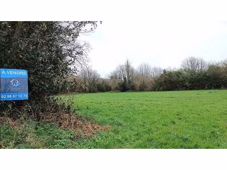 terrain constructible viabilisé à vendre