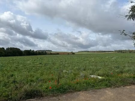 en vente terrain constructible 3 ares – 85 000 € |rodemack