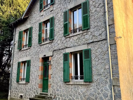 vente maison 7 pièces 195 m² isle (87170)