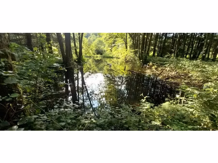 vente terrain 3045 m² à saint-bresson (70280)  37 000 €