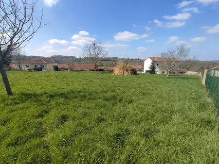 vente terrain 1315 m² à bosmie-l'aiguille (87110)  45 000 €