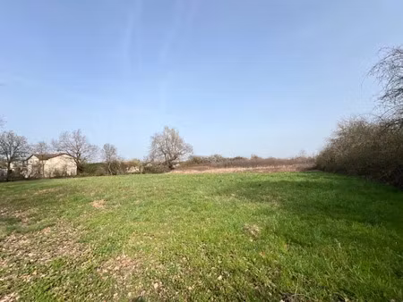 vente terrain 972 m² à grièges (01290)  75 000 €