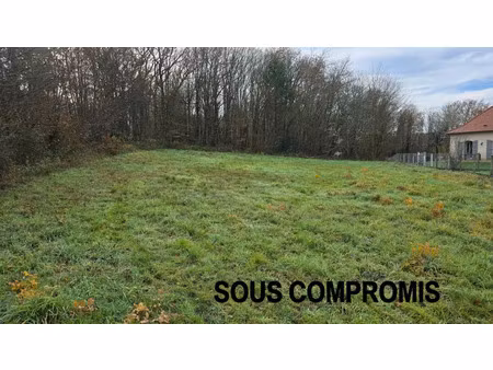 vente terrain 1051 m² à bosmie-l'aiguille (87110)  55 000 €