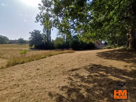 vente terrain 3644 m² à le vigen (87110)  59 000 €