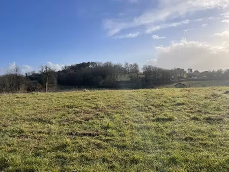 vente terrain 1060 m² à saint-savin (33920)  67 200 €