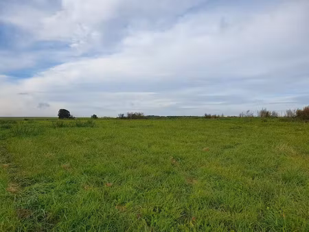 vente terrain à picquigny (80310)  65 000 €