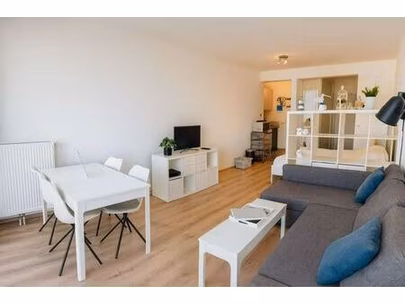 appartement à louer à zeedijk 2 zeebrugge (rwc42239)