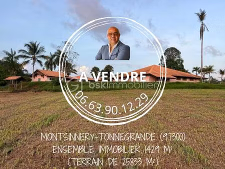immeuble de 1 429 m² à montsinery-tonnegrande