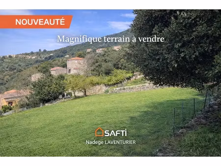 vente terrain 1375 m² à sagone (20118)  160 000 €