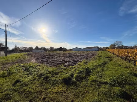 vente terrain 1130 m² à cussac-fort-médoc (33460)  99 400 €