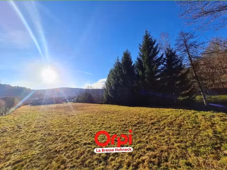 vente terrain à batir 887 m² à xonrupt-longemer (88400)  119 900 €