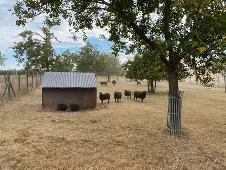 terrain à vendre à kortenaken € 30.000 (lmse7) - van gorp & arnauts | zimmo