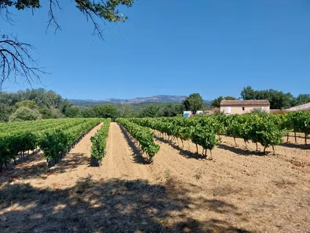 vente terrain 620 m² à cogolin (83310)  295 000 €