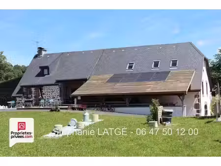 vente maison 20 pièces à saint-martin-valmeroux (15140)  780 000 €