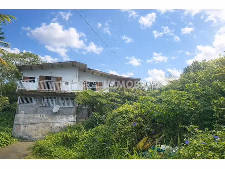 vente immeuble 233 m² à la chaloupe (97416)  328 600 €