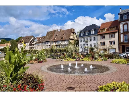 vente immeuble 314 m² à wissembourg (67160)  792 500 €