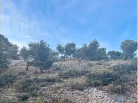 location appartement 1 pièce 17 m² à marseille 8ème (13008)  570 €