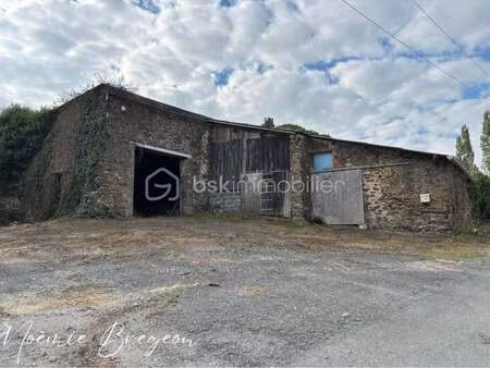 vente immeuble à chavagnes-en-paillers (85250) : à vendre / 188m² chavagnes-en-paillers