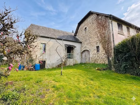 jolie maison en pierres avec jardin