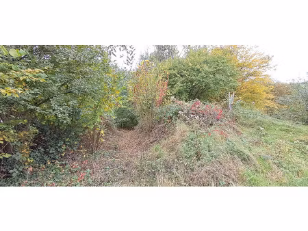 terrain à vendre bazeilles