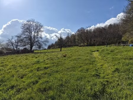 terrain constructible