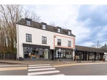 lasne centre: magnifique appartement 2 ch avec terrasse vue