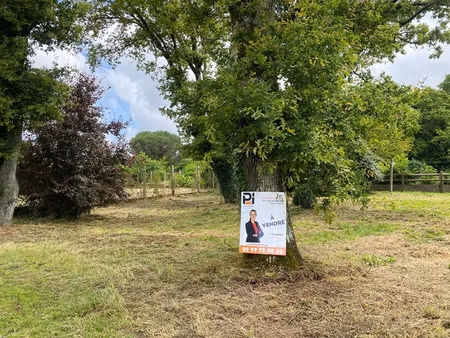 vente terrain à sainte-marie (35600) : à vendre / 992m² sainte-marie