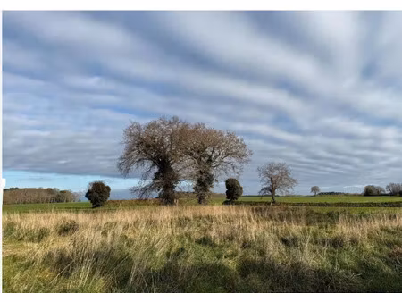 vente terrain à riantec (56670) : à vendre / riantec