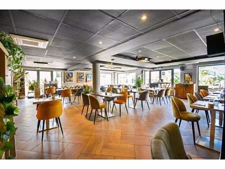 vente commerce 241 m² mandelieu-la-napoule (06210)