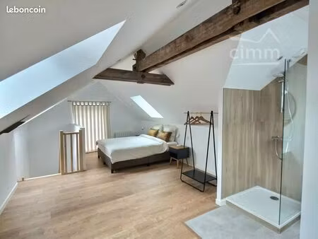 duplex 2 pièces 49 m²