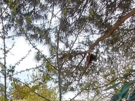 vente terrain à talmont-saint-hilaire (85440) : à vendre / 460m² talmont-saint-hilaire