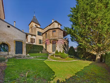 maison seigneuriale vaux 7 pièces 230 m2 + jardin