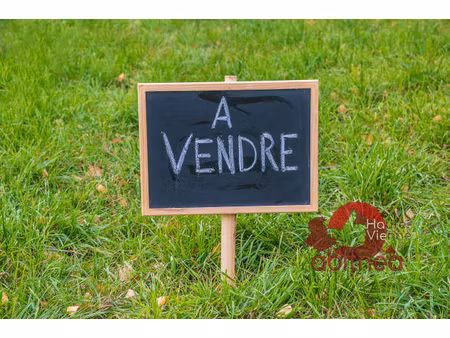 terrain constructible