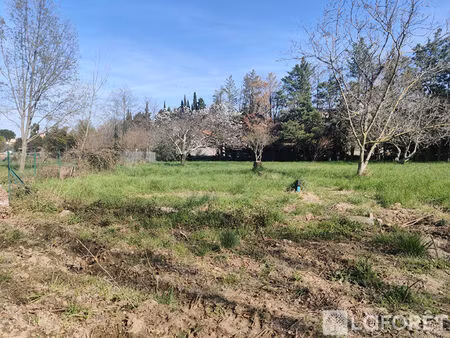 terrain viabilisé vinça 1127 m2