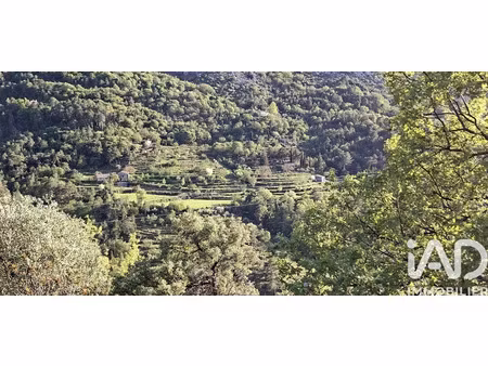 terrain agricole à peille (06440)