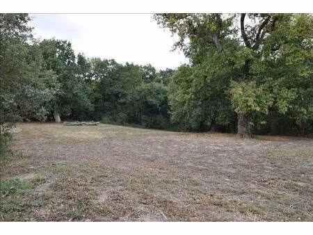 terrain constructible viabilisé à vendre