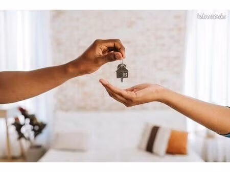 appartement t2 questembert / hyper centre / refait à neuf / disponible au 01/06