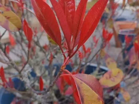 recherche maison à louer