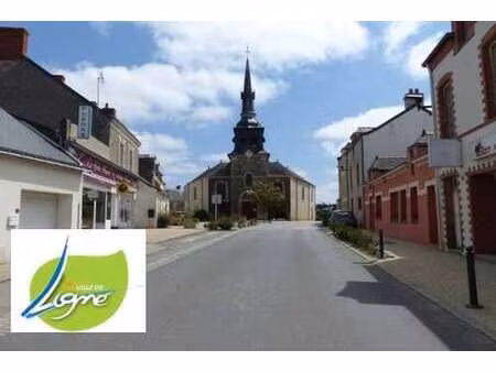 vente terrain à ligné (44850) : à vendre / 523m² ligné