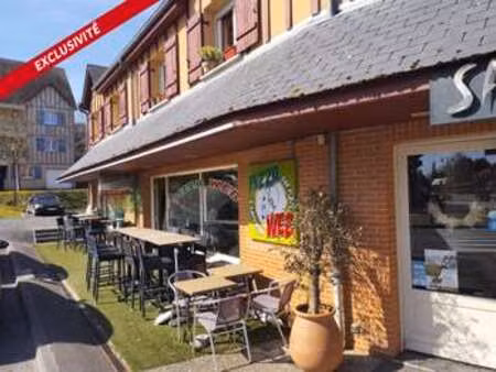 vente bureaux et commerces à saint-arnoult (14800) : à vendre / 89m² saint-arnoult
